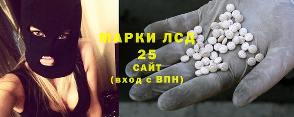 прущие грибы Володарск