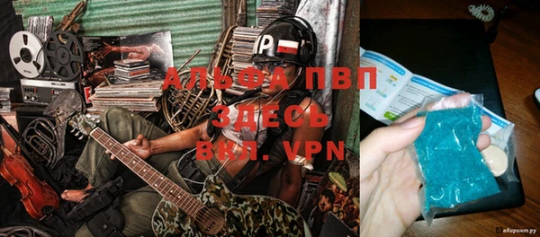apvp Вяземский