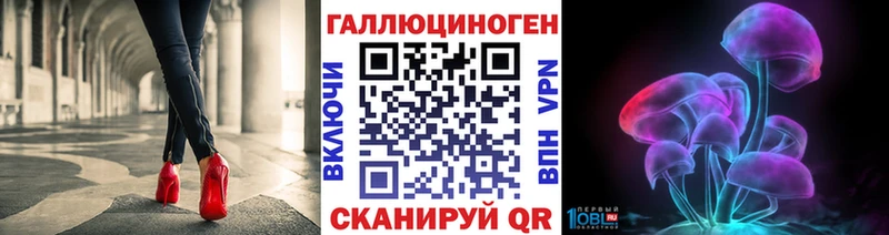 где продают наркотики  Усть-Катав  Галлюциногенные грибы Psilocybine cubensis 
